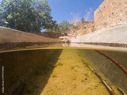 water trough to water the animals