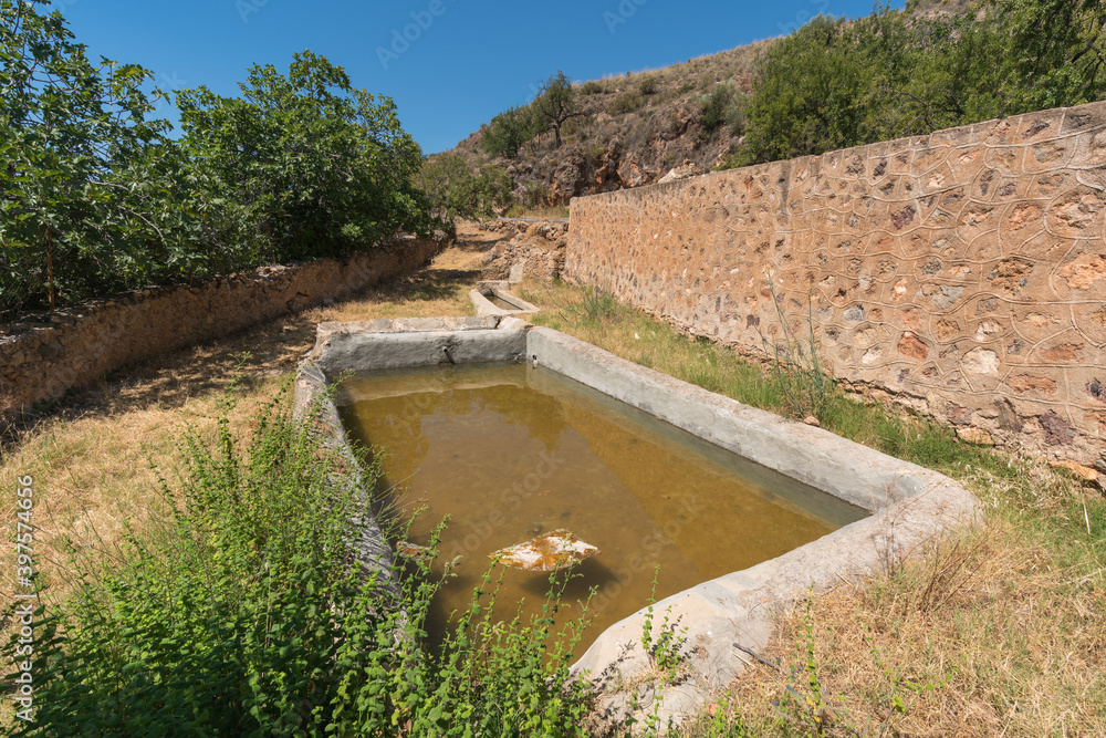 small pool with water in the field small pool with water in the field