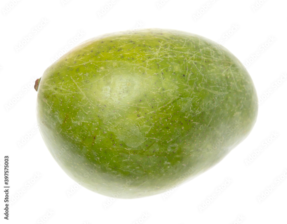 Close up of green mango isolated on white Close up of green mango isolated on white