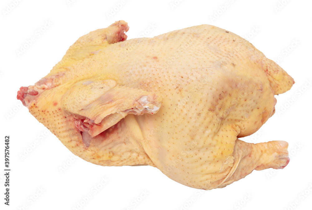 Chicken carcass isolated on a white background.