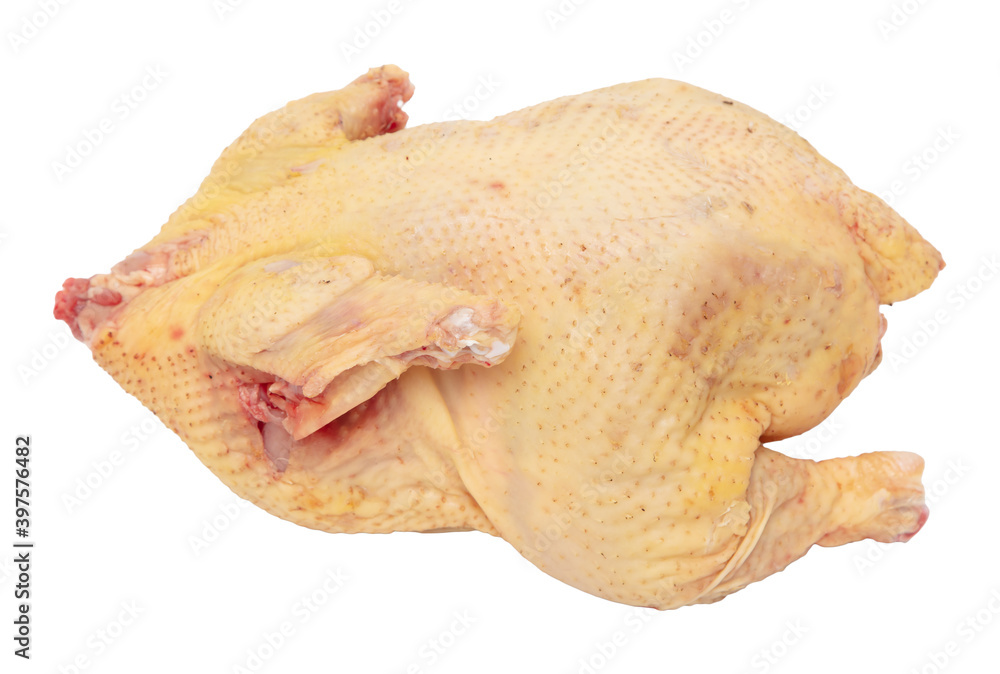 Chicken carcass isolated on a white background. Chicken carcass isolated on a white background.