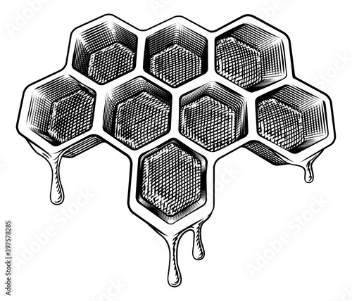 A bee honeycomb dripping with comb honey in a vintage woodcut retro style