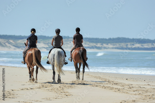 riding horse on the coast close to trhe ocean