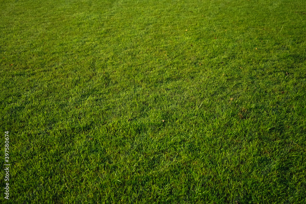 Green lawn pattern and texture background. Green lawn pattern and texture background.