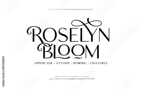 Classic lettering minimal fashion designs. Elegant alphabet letters font and number. Typography fonts regular uppercase, lowercase, alternate, and ligatures. Vector illustration design.