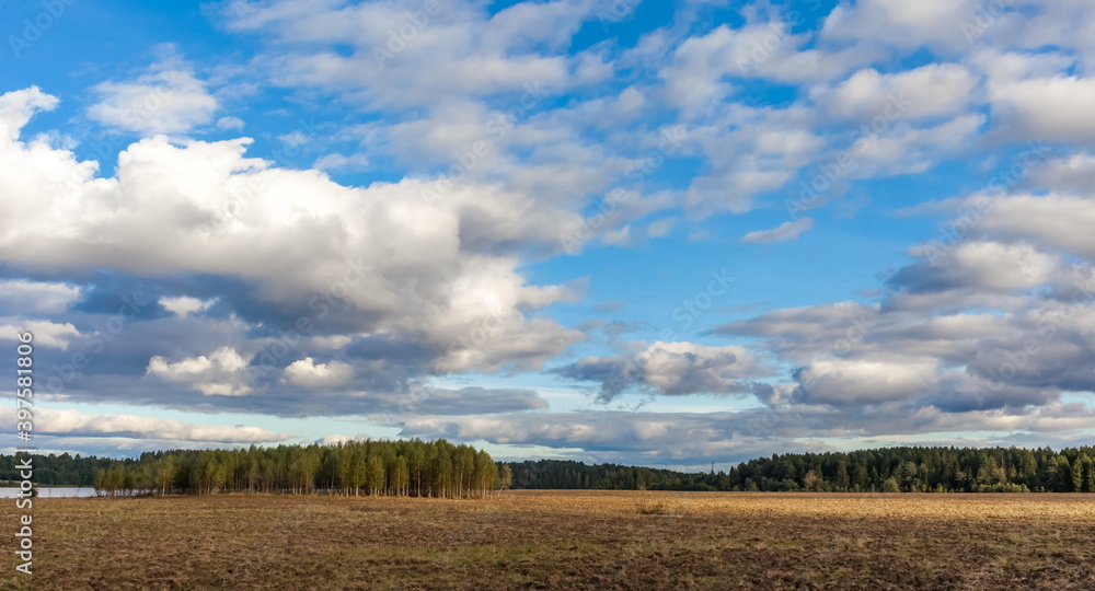 Field with mown grass on the background of the forest and the sky with clouds in summer Field with mown grass on the background of the forest and the sky with clouds in summer