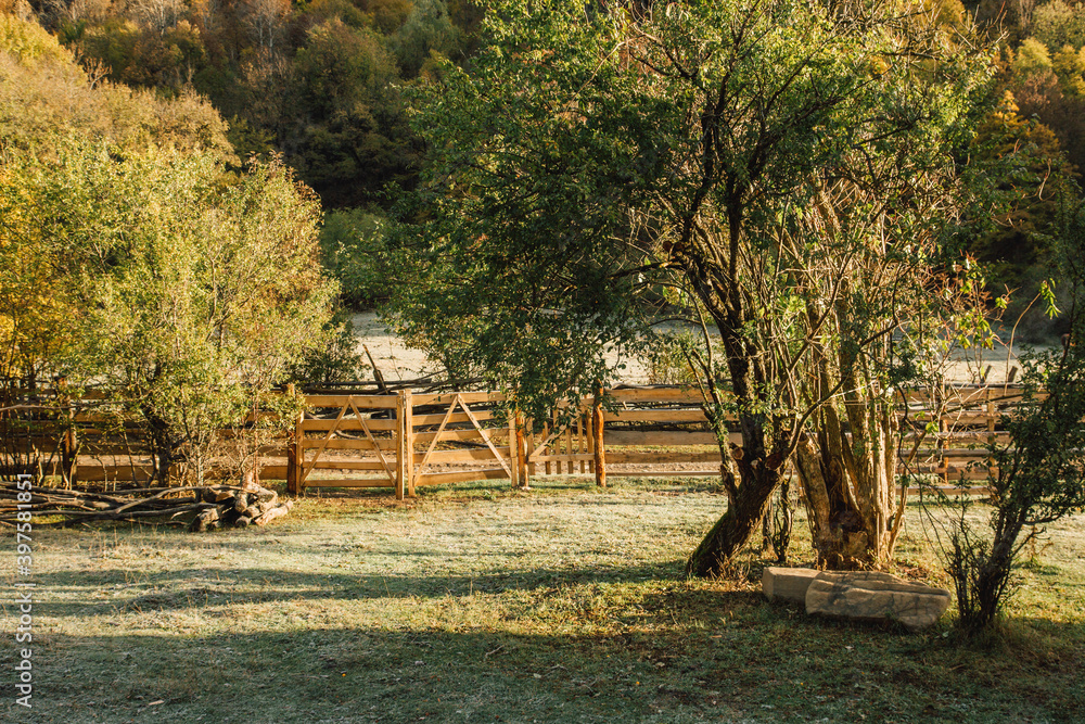 the fence in the mountain, camping in the autumn morning