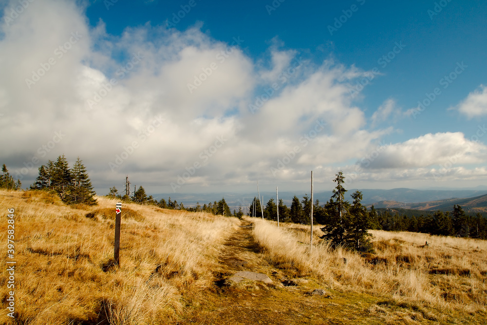 Widok na szlak górski biegnący wzdłuż polany skąpanej słońcem padającym na żółtą jesienną trawą