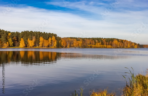 Lake view, yellow and green trees, blue sky with white clouds in autumn