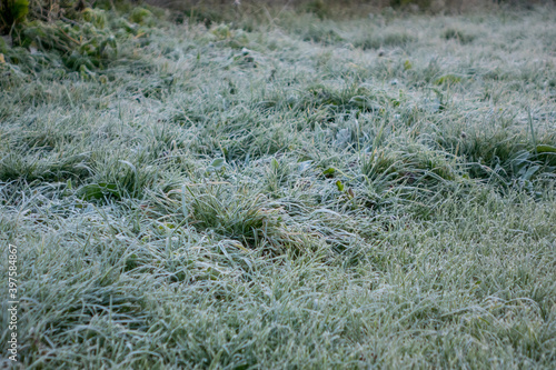 Beautiful frost on grass in mountains. Morning landscape in mountains. Autumn.