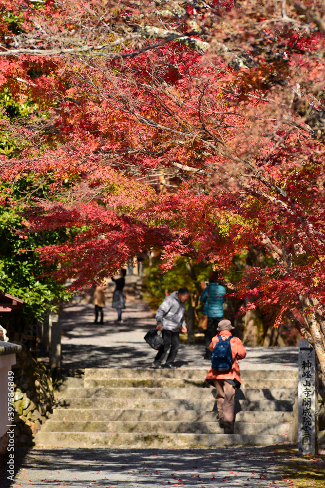 紅葉が映える西山 善峯寺の境内