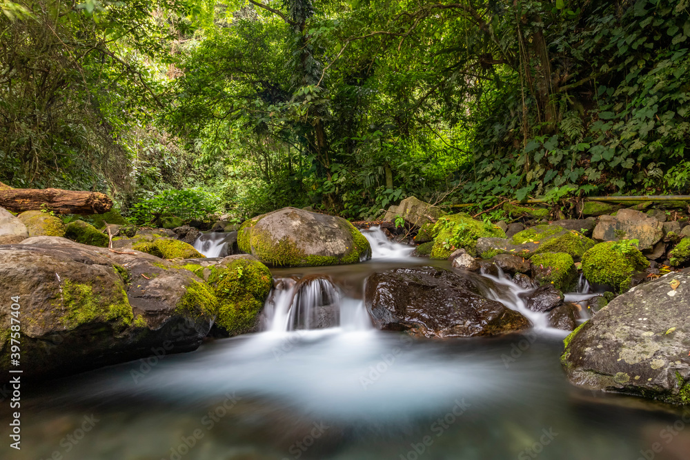 mini waterfall at the midle of forest