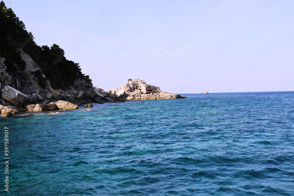 Naklejka premium Paxos