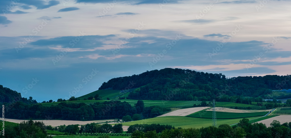 Blick auf die Weinberge und Wald am Abend in Erlenbach in Baden-Württemberg