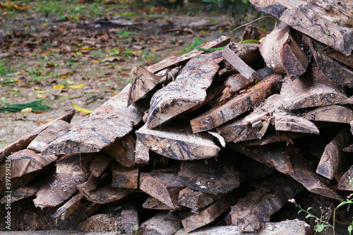 A pile of friewood, wood carcass on the ground
