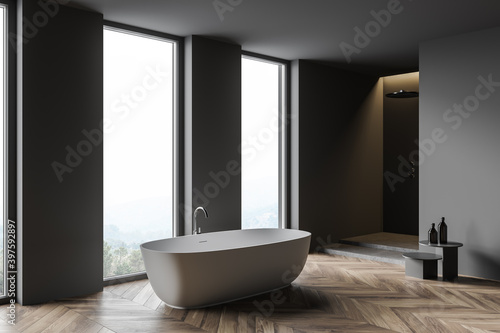 Modern gray bathroom corner with tub