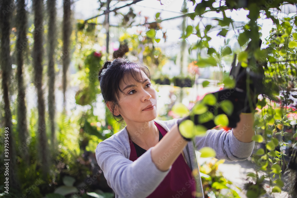 Asian owner woman gardening and working in greenhouse, Small business entrepreneur concept Asian owner woman gardening and working in greenhouse, Small business entrepreneur concept