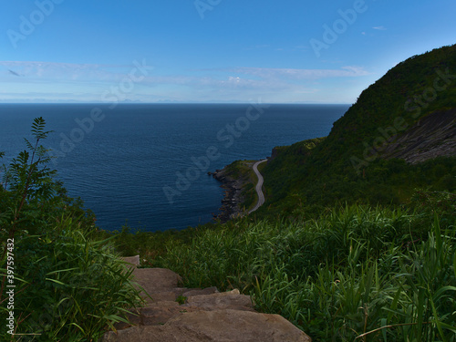 View over the southern coast of Moskenesøya island, Lofoten, Norway with dense green colored vegetation, coastal road and Norwegian Sea on the horizon from rock stairs of hiking trail to Reinebringen.