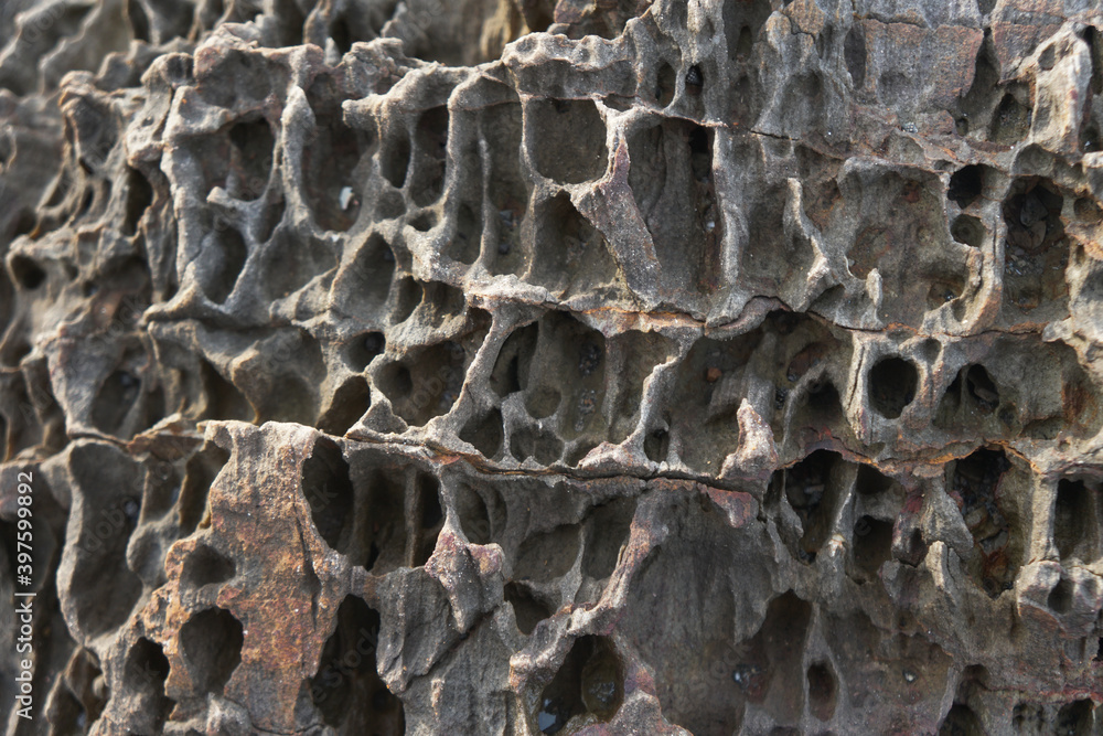 The sandstone texture that has been scattered by the sea. The sandstone texture that has been scattered by the sea.