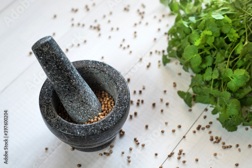 Cilantro coriander seeds spice with granite mortar.