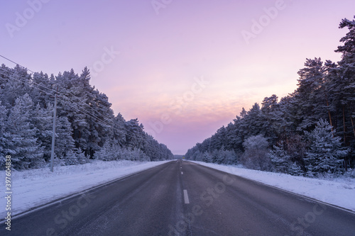 Straight paved road running into distance through pine forest covered with snow with frosty pine trees at purple sunset in blue hour with sundown sky gradient in Russia, Siberia