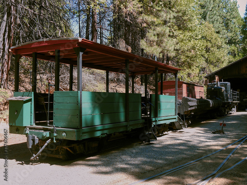 Canvas Print Yosemite Mountain Sugar Pine Railroad, Yosemite National Park, California