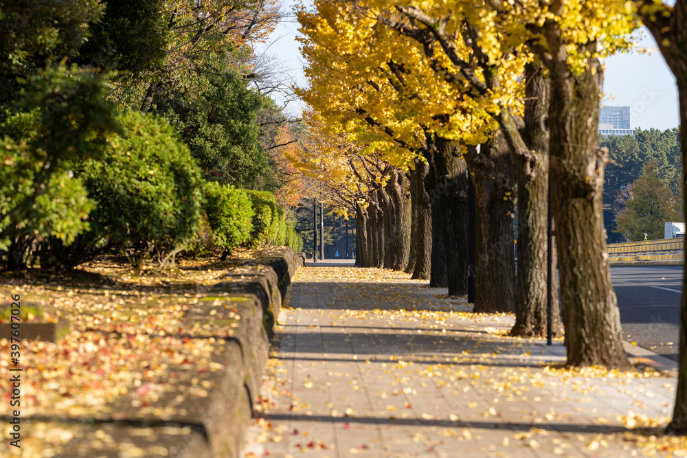 Fototapeta premium 霞ヶ関・有楽町散策