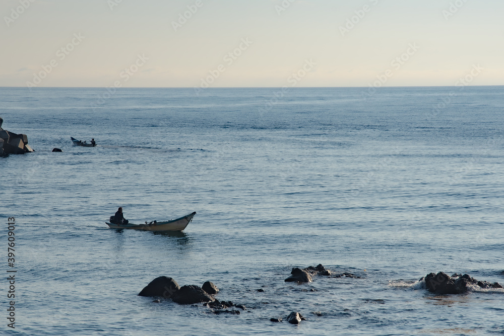 Fototapeta premium 早朝の磯でうにや昆布の漁をする風景 / 北海道余市町