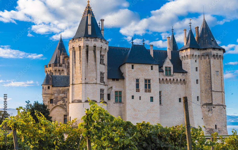 Fototapeta premium castillo en saumur con viñedos
