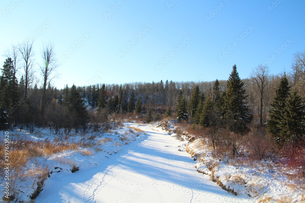 Snowy Creek, Whitemud Park, Edmonton, Alberta Snowy Creek, Whitemud Park, Edmonton, Alberta