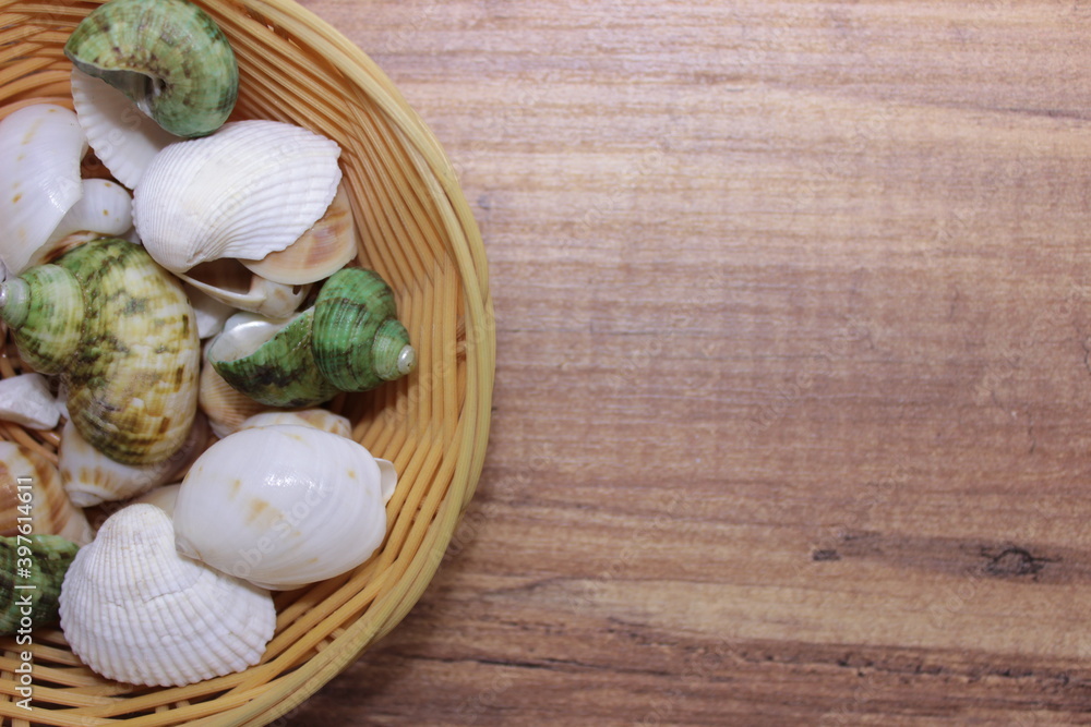 Sea shell in a basket with wooden background Sea shell in a basket with wooden background