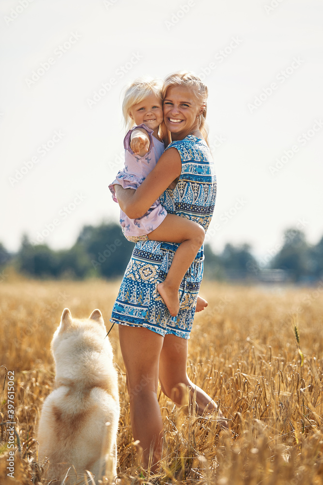 Cute baby girl with mom and dog on wheat field. Happy young family enjoy time together at the nature. Mom, little baby girl and dog husky resting outdoors. togetherness, love, happiness concept. Cute baby girl with mom and dog on wheat field. Happy young family enjoy time together at the nature. Mom, little baby girl and dog husky resting outdoors. togetherness, love, happiness concept.