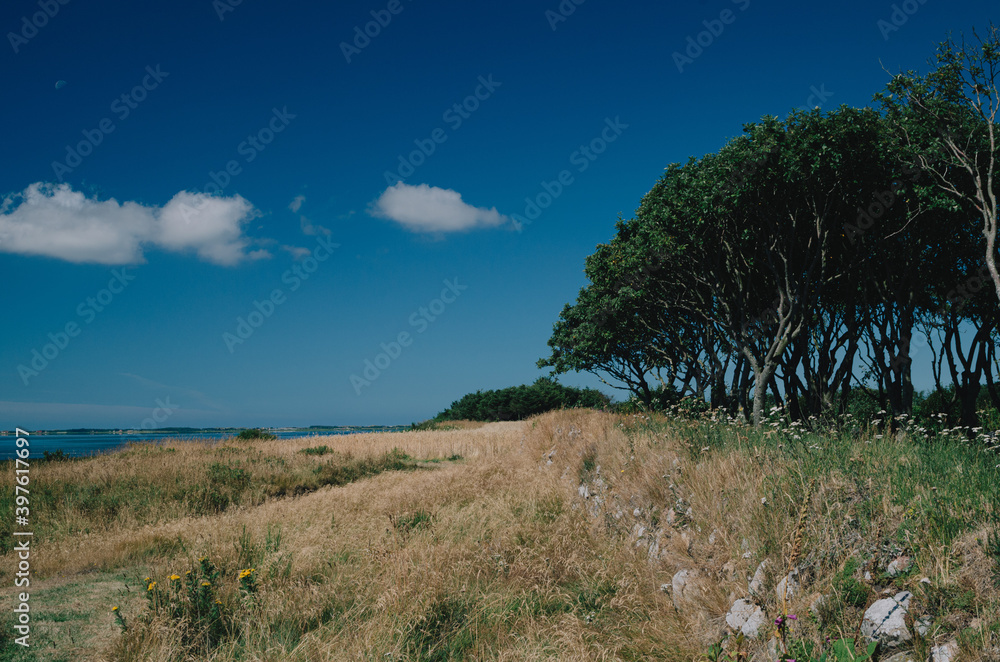 Obraz premium Am Ringköbing Fjord