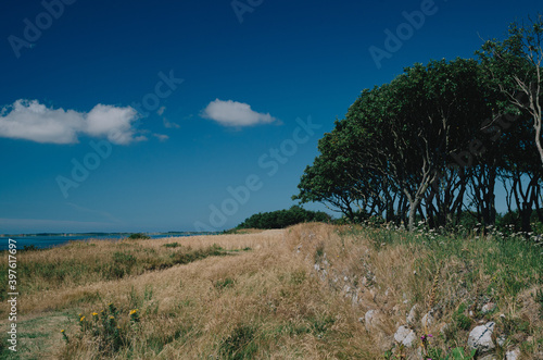 Am Ringköbing Fjord