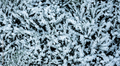 Crystals of frost on the grass, background, winter