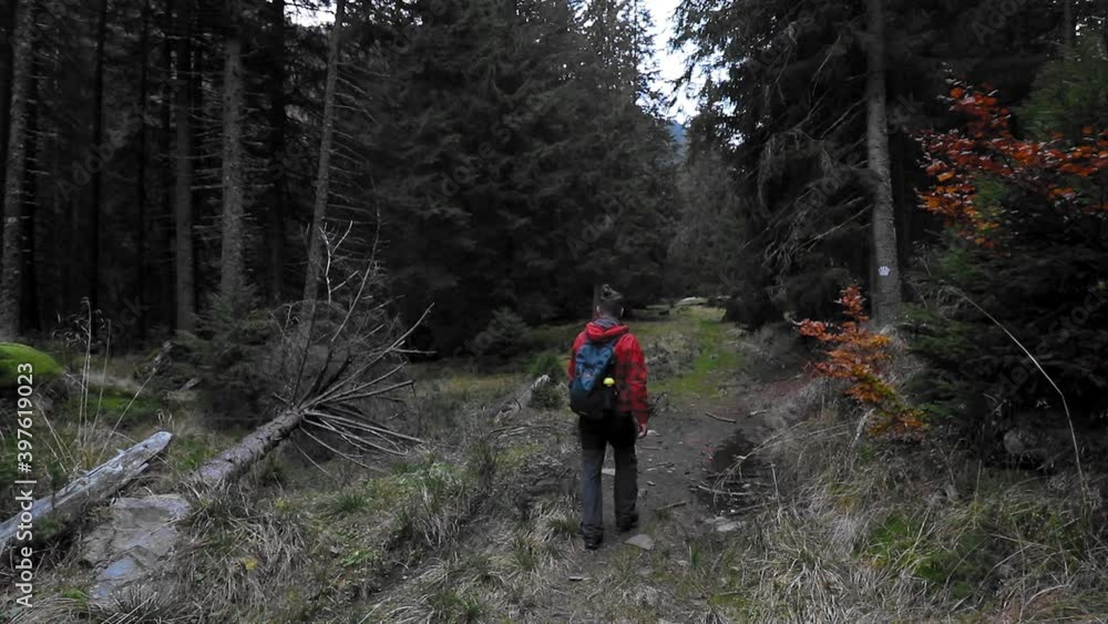 Man walking alone through the mountain forest in fall time Man walking alone through the mountain forest in fall time