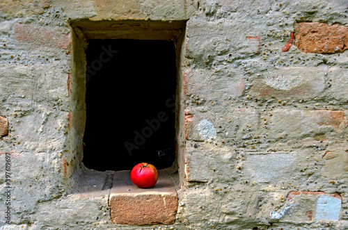 red apple lying in an opening of an unplastered brick wall photo