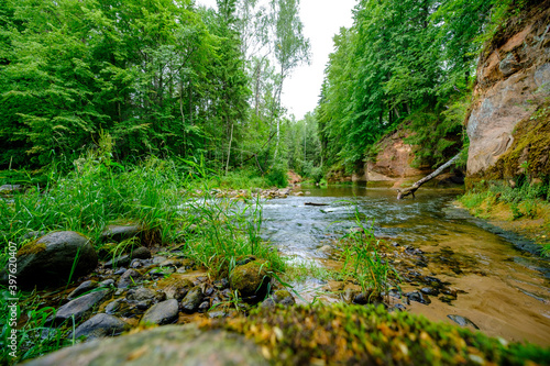 sandstone cliffs on the river Amata in Latvia