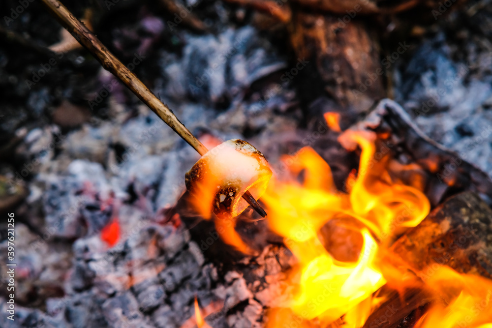Delicious and sweet marshmallow roasting on stick over the bonfire. Defocused