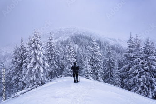 Landscape on the cold winter morning. Happy men is standing on the lawn covered with snow. Forests. Pine trees. Snowy background. Nature scenery. Location place the Carpathian, Ukraine, Europe.