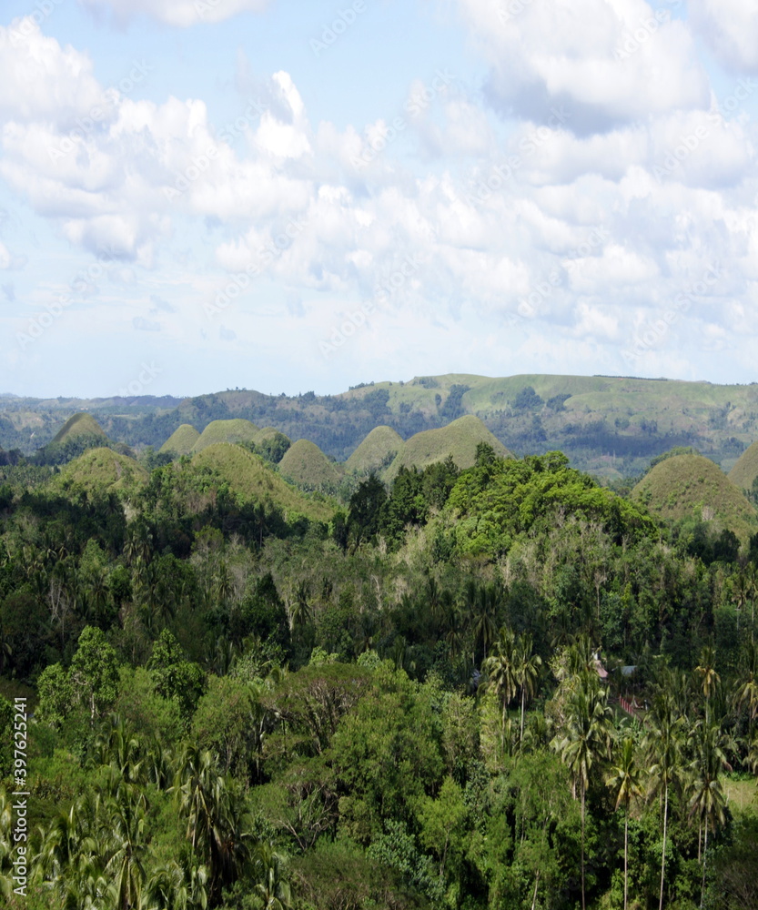 Obraz premium Beautiful view of the green forest and the hills