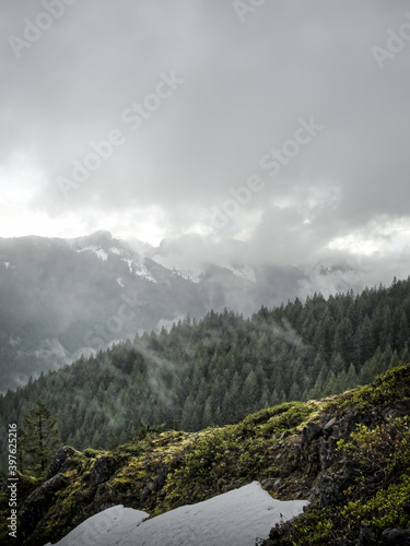 Foggy spring afternoon along the trail to Skull Rock, Willamette National Forest, Oregon photo