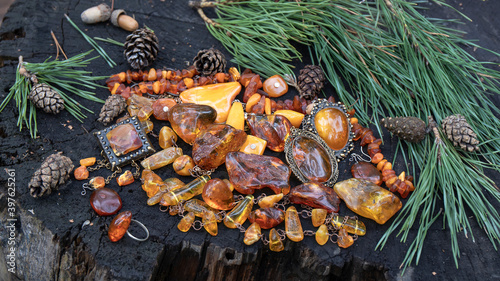 Sparkling Baltic amber jewelry, leaves, pine branches and mushrooms in the forest. Shot from above. Beautiful creative unique natural background