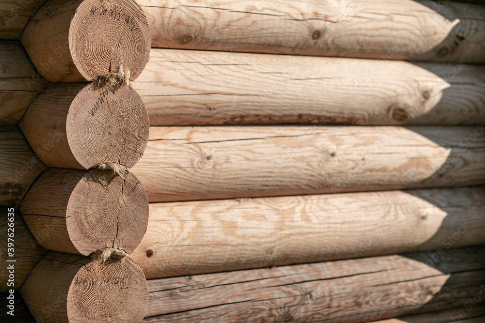 House built from smoothly polished cedar logs. Textured background. Cedar warm safe house. House built from smoothly polished cedar logs. Textured background. Cedar warm safe house.
