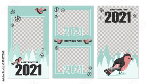 Christmas templates with photo space, 2021 happy new year birds stories backgrounds, social media layout winter holidays