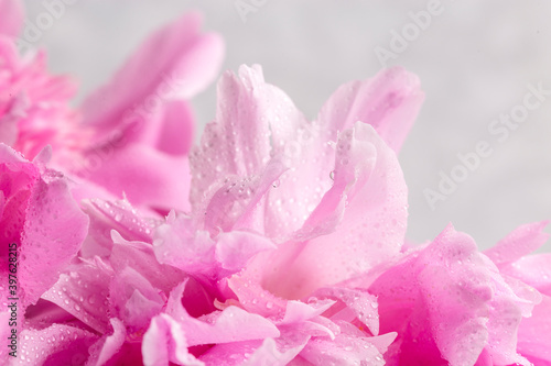 Picture with peonies © 02irina