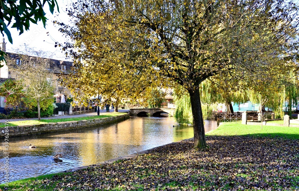 River flowing through the park