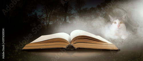 Canvas Print Big white cats and a book in the night forest