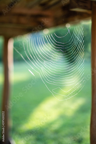 web at the porch