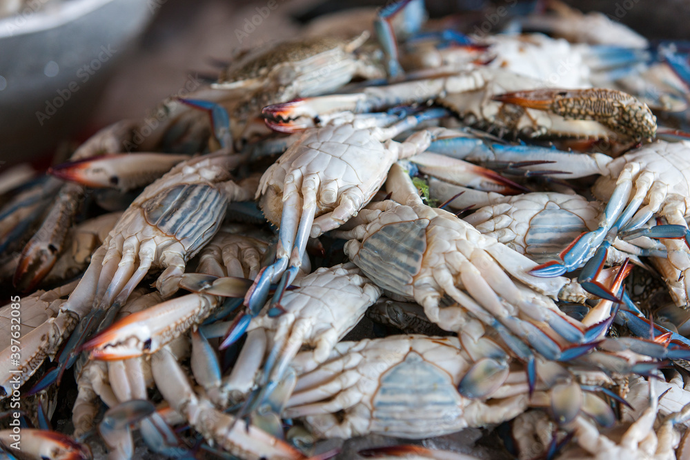 Fresh blue crabs on the fish market display